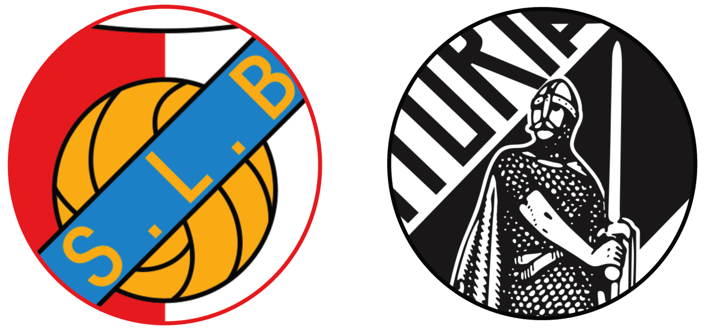 ベンフィカ vs ビトリア・ギマランイスのチケット