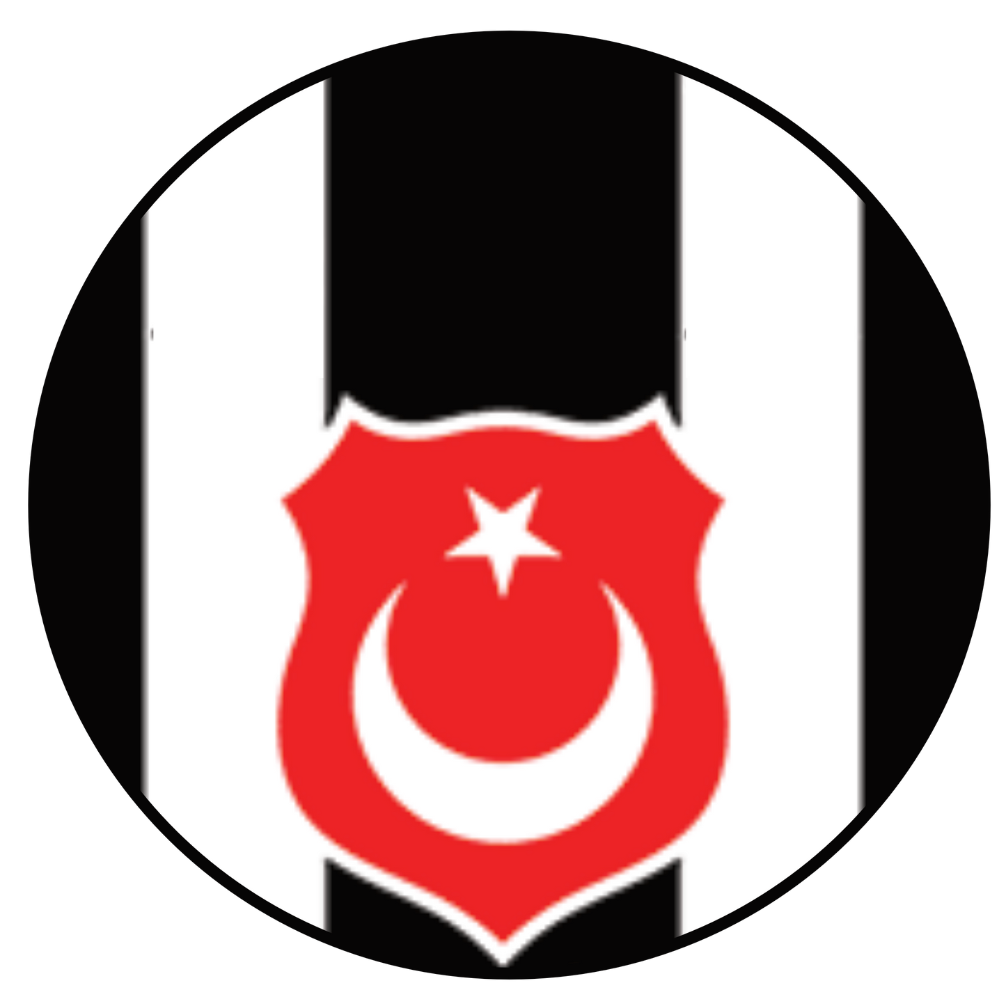 Beşiktaş vs Club Brugge Experiences (Conference League)