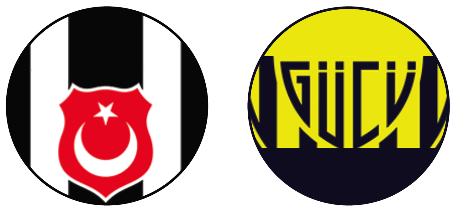 Beşiktaş vs Ankaragücü Experiences