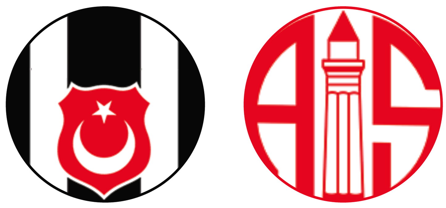 Beşiktaş vs Antalyaspor Experiences