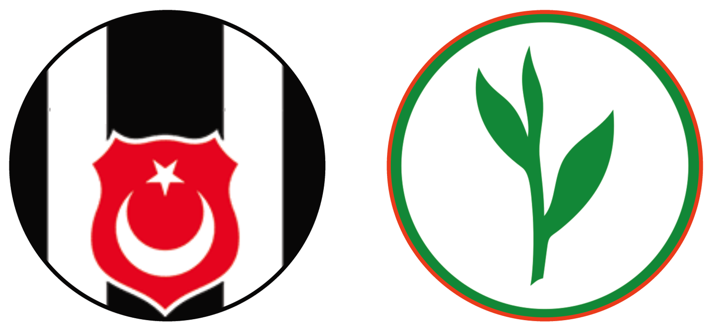 Beşiktaş vs Rizespor Experiences