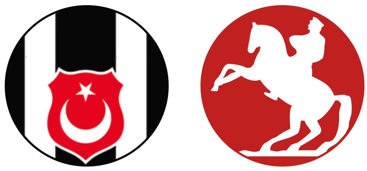 Beşiktaş vs Samsunspor Experiences