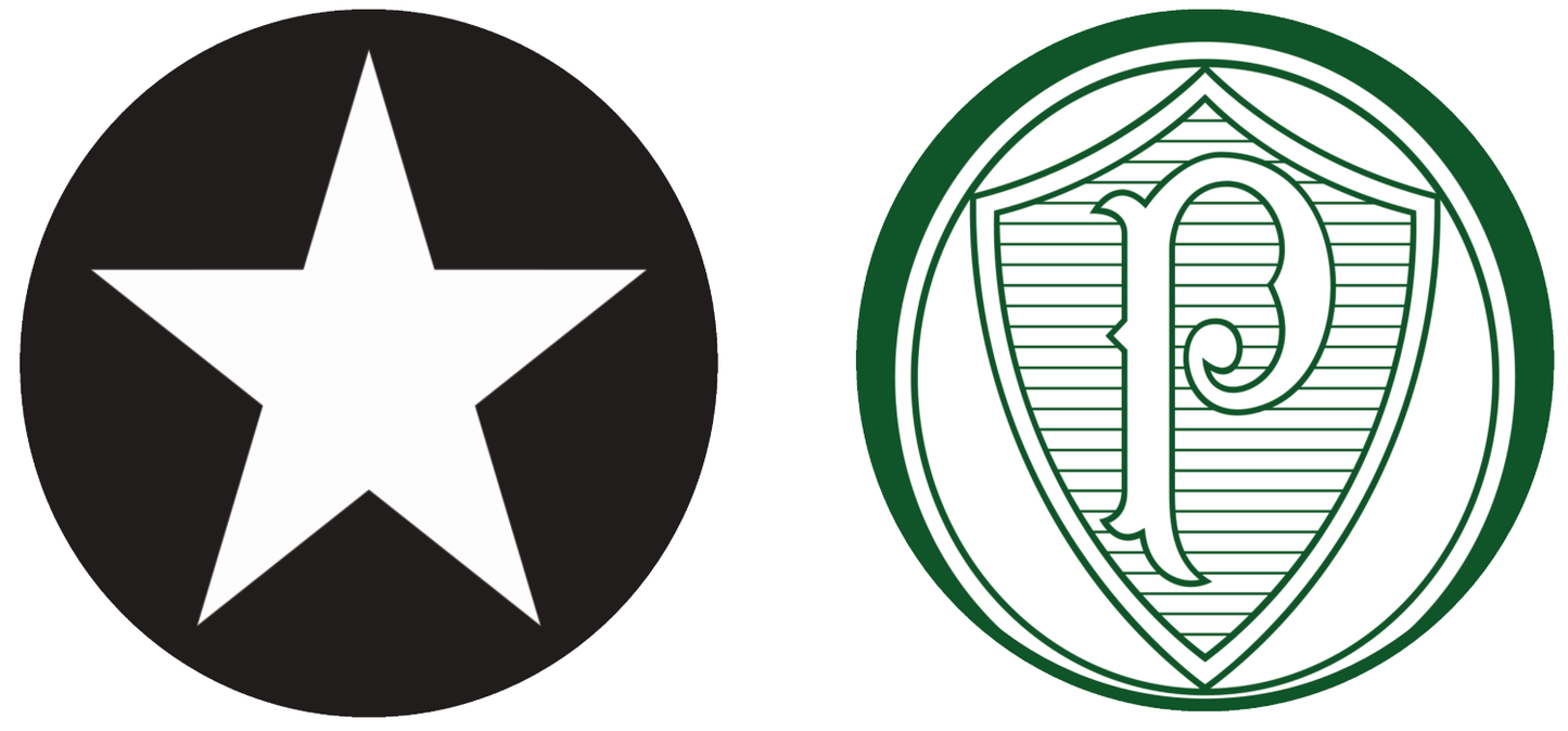 Botafogo vs Palmeiras Tickets