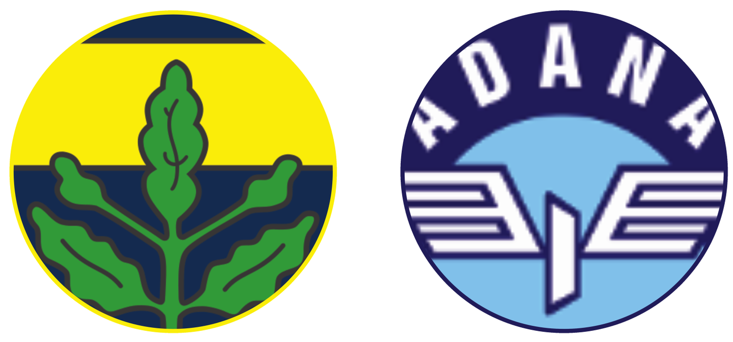 Fenerbahçe vs Adana Demirspor Experiences