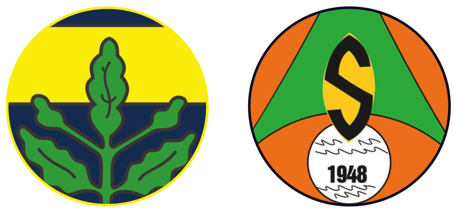 Fenerbahçe vs Alanyaspor Experiences