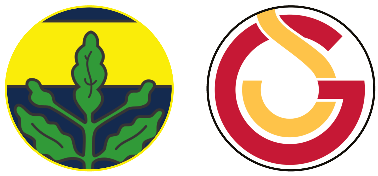 Fenerbahçe vs Galatasaray SK Experiences