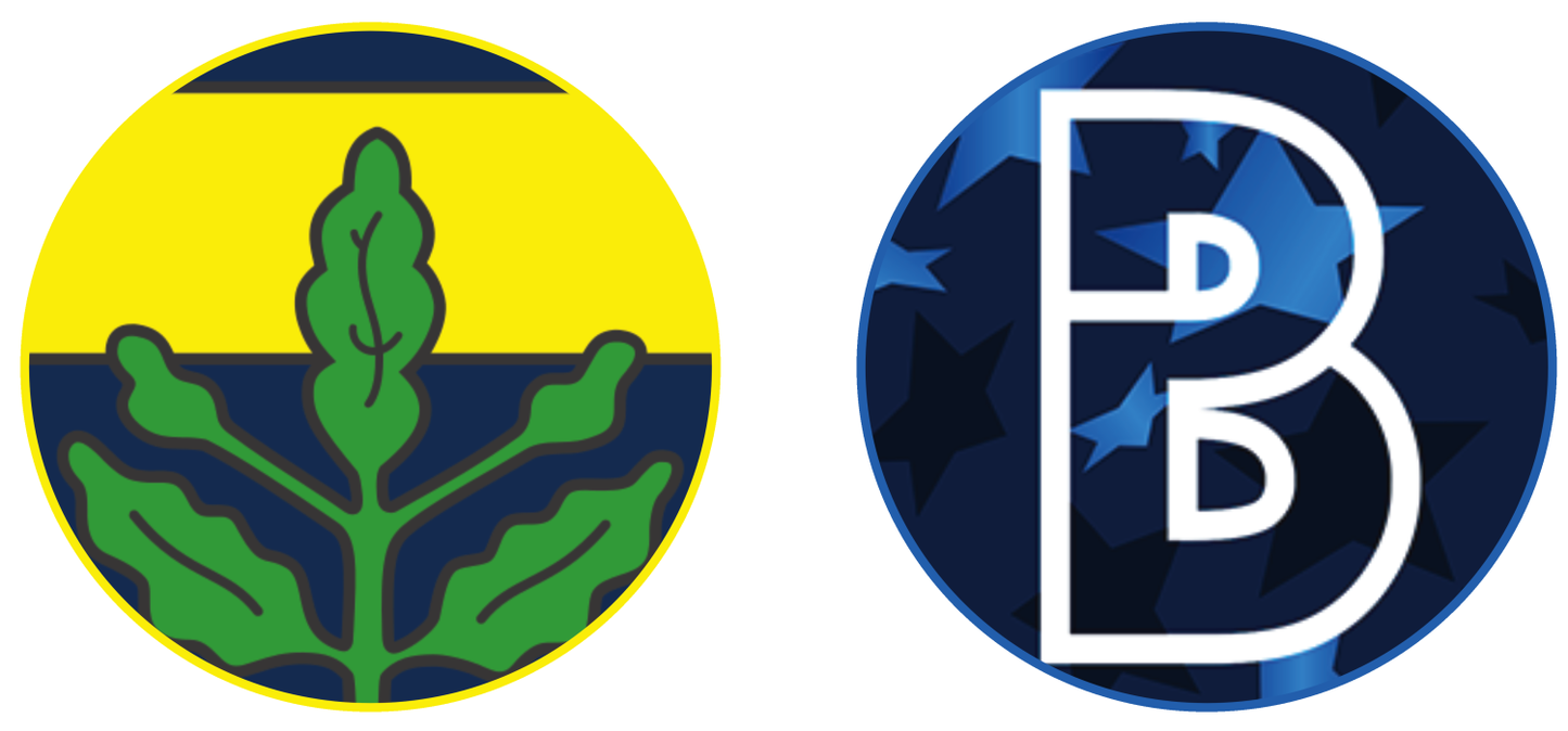 Fenerbahçe vs Istanbulspor AS Experiences