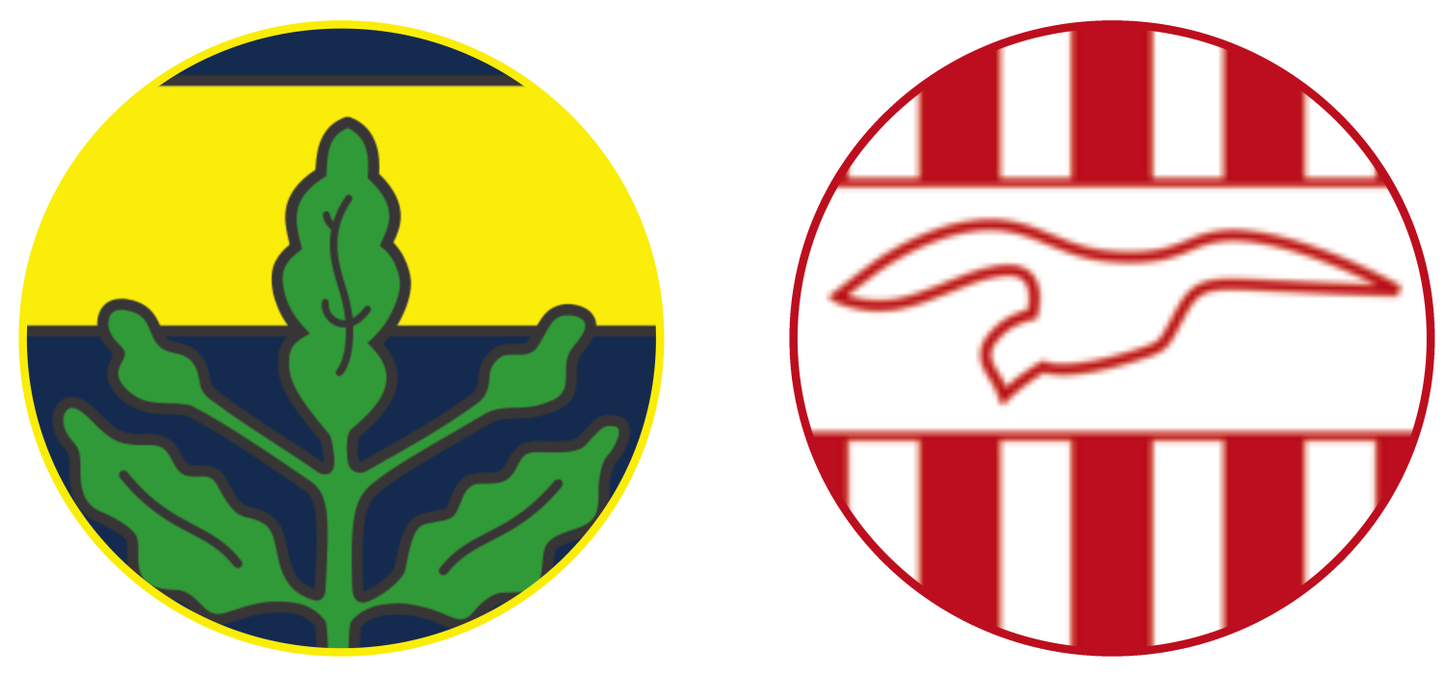 Fenerbahçe vs Pendikspor Experiences