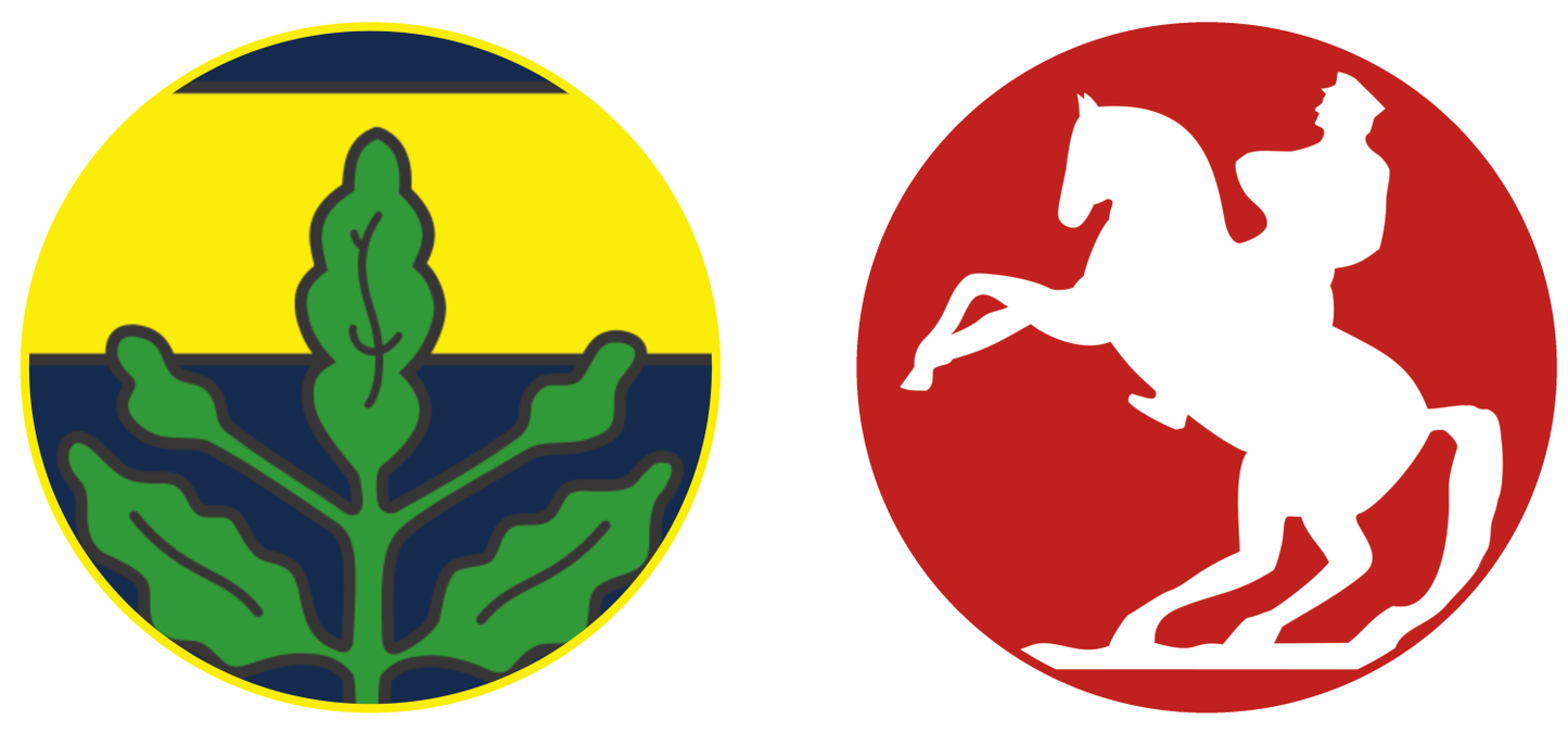 Fenerbahçe vs Samsunspor Experiences