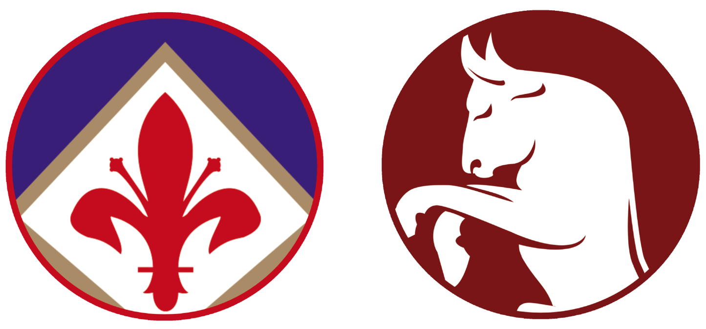 Fiorentina vs Torino FC Tickets