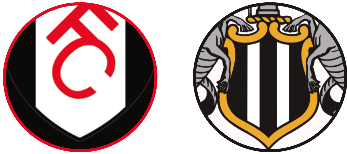 Fulham vs Newcastle Experiences