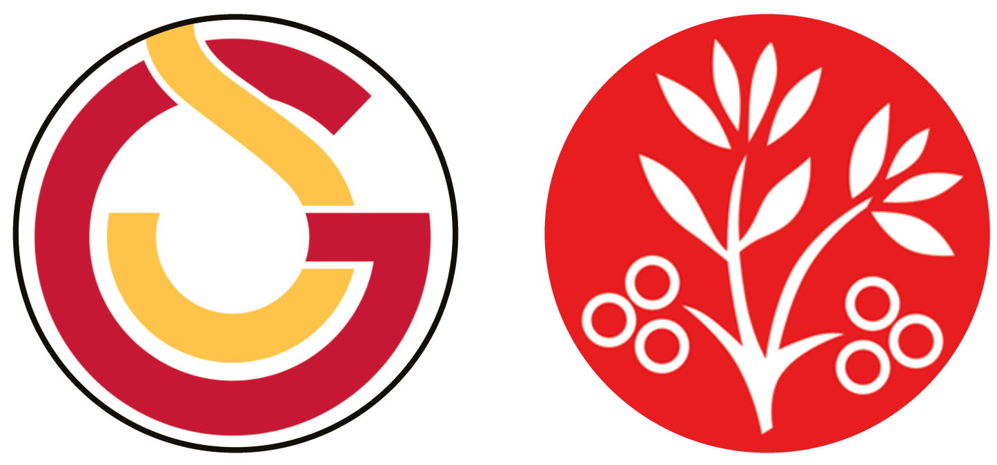 Galatasaray SK vs Fatih Karagümrük Experiences