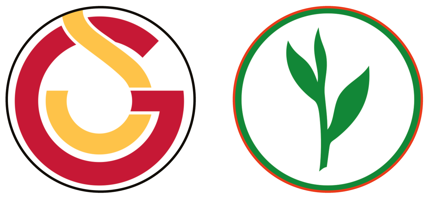 Galatasaray SK vs Rizespor Experiences