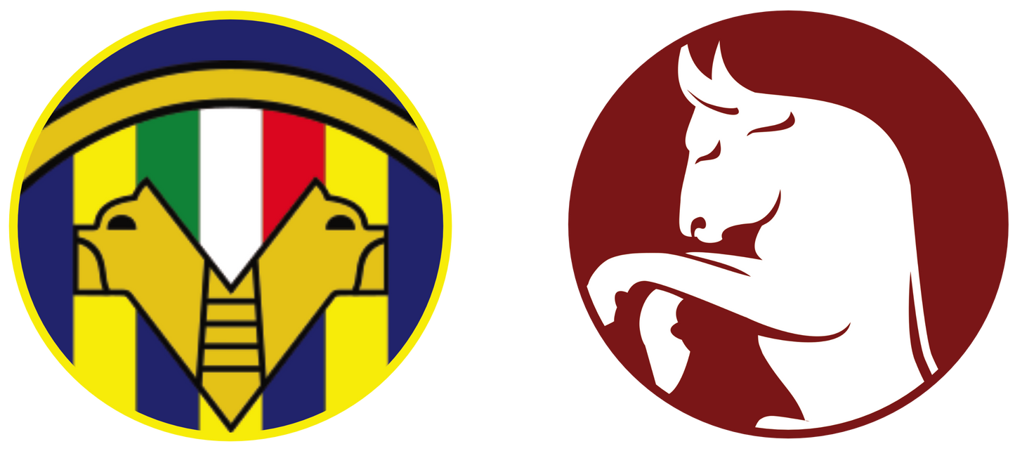Hellas Verona vs Torino FC Tickets
