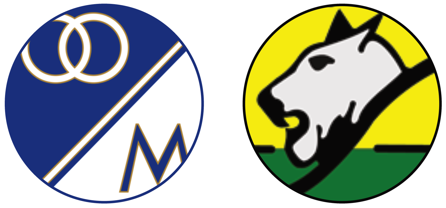 Millonarios vs Atlético Bucaramanga Experiences