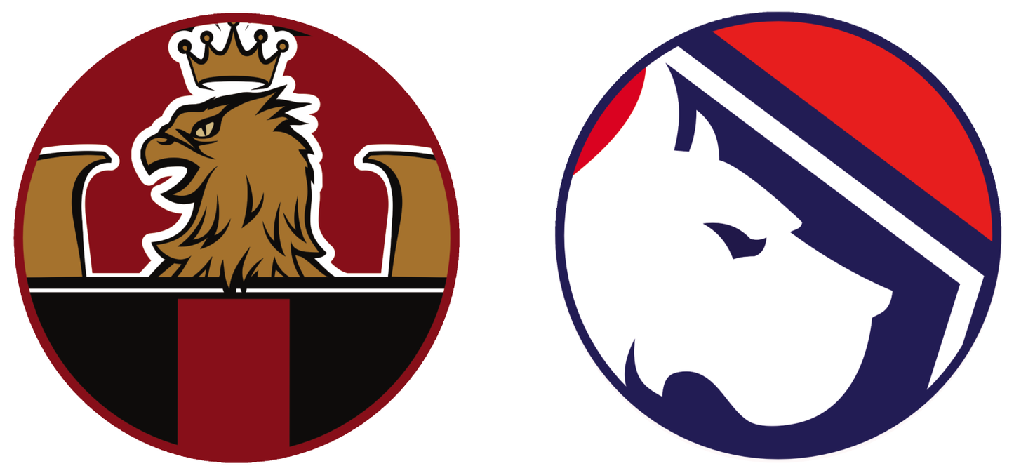 OGC Nice vs LOSC Lille Tickets