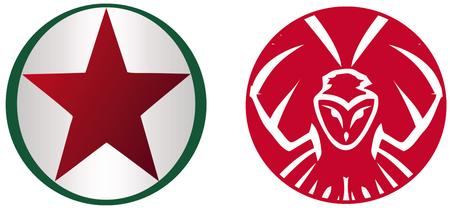 Red Star vs Dijon FCO Experiences