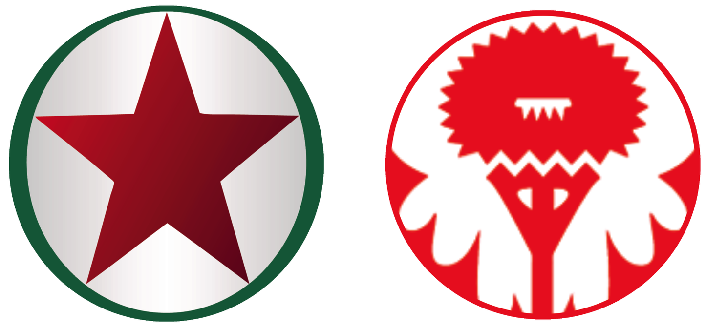 Red Star vs Nancy Experiences