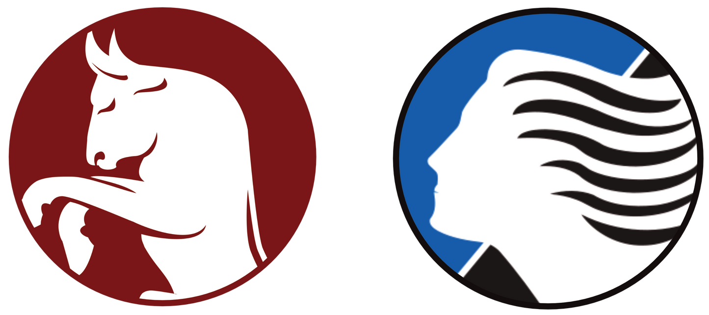 Torino FC vs Atalanta BC Tickets