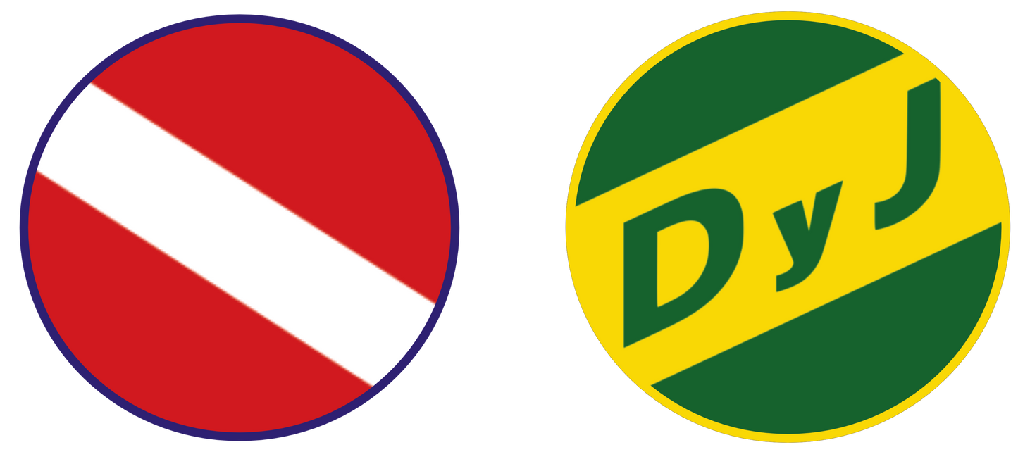 Argentinos Juniors vs Defensa y Justicia Experiences