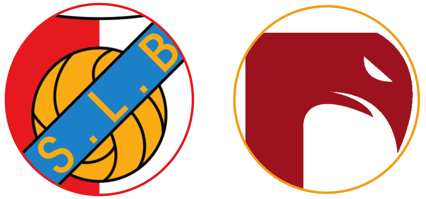 Benfica vs AVS Futebol Tickets