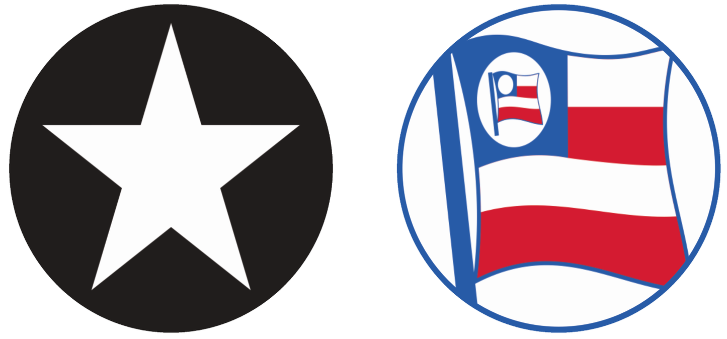 Botafogo vs Bahía Tickets