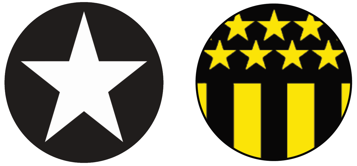 Botafogo vs Peñarol Experiences (Copa Libertadores)