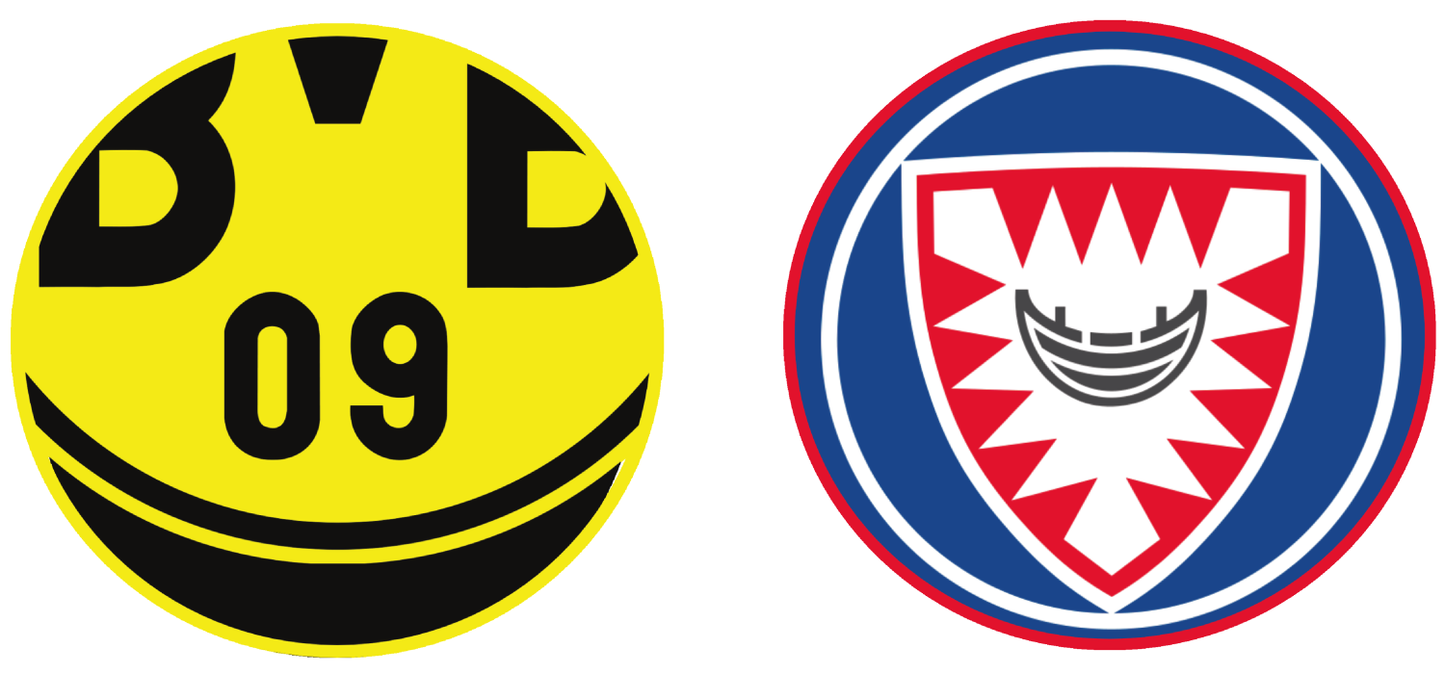 Borussia Dortmund vs Holstein Kiel Tickets