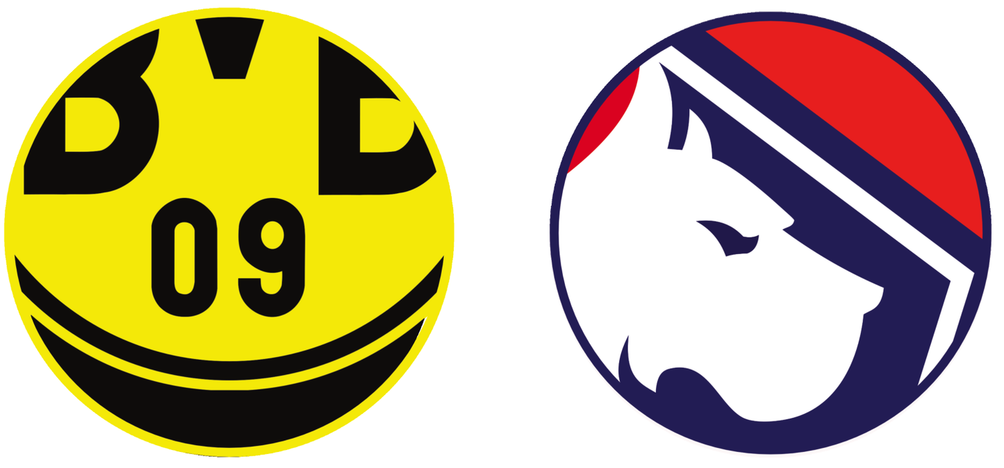 Borussia Dortmund vs LOSC Lille Tickets (Champions League)