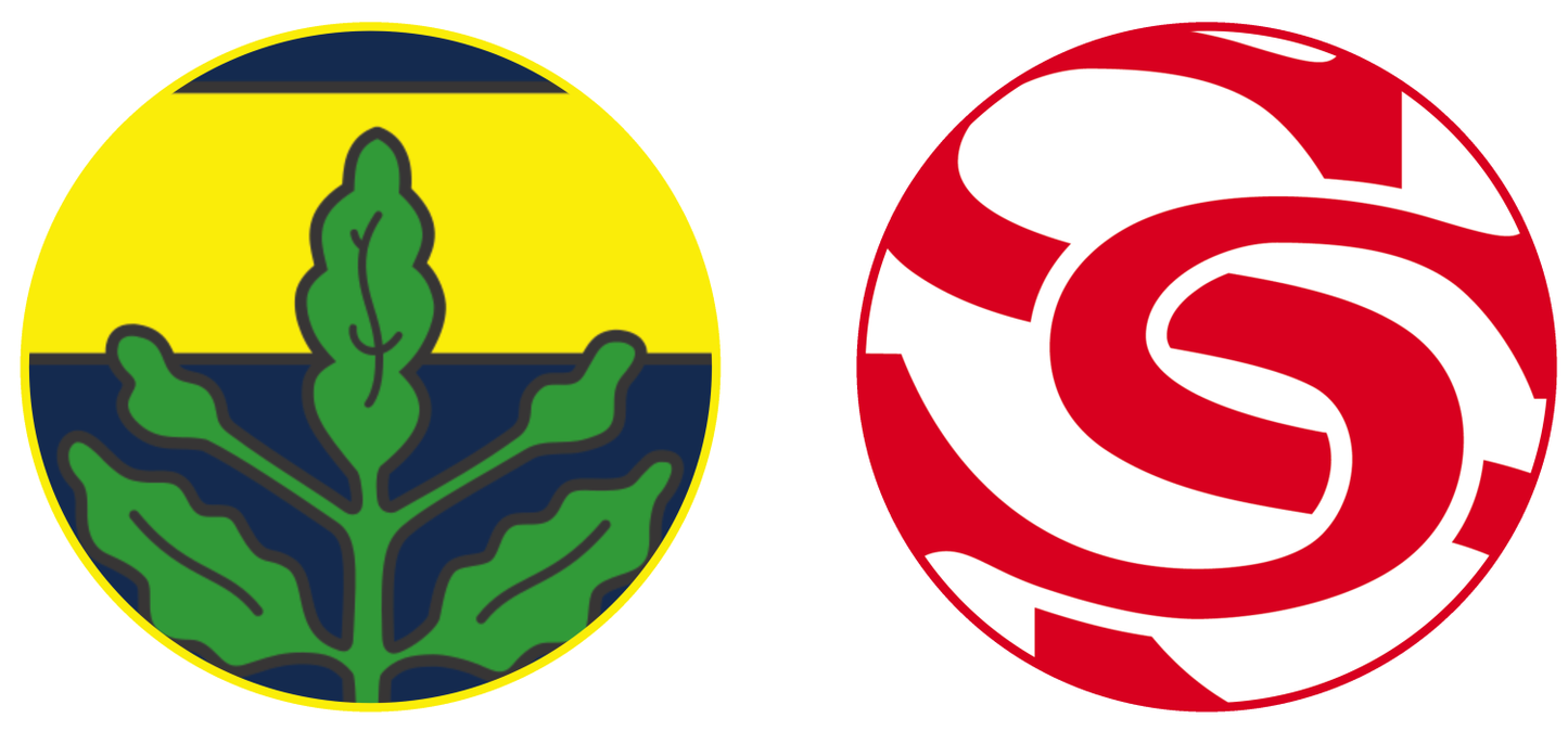 Fenerbahce vs Sivasspor Tickets