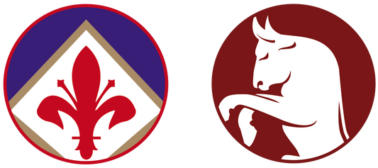 Fiorentina vs Torino FC Tickets