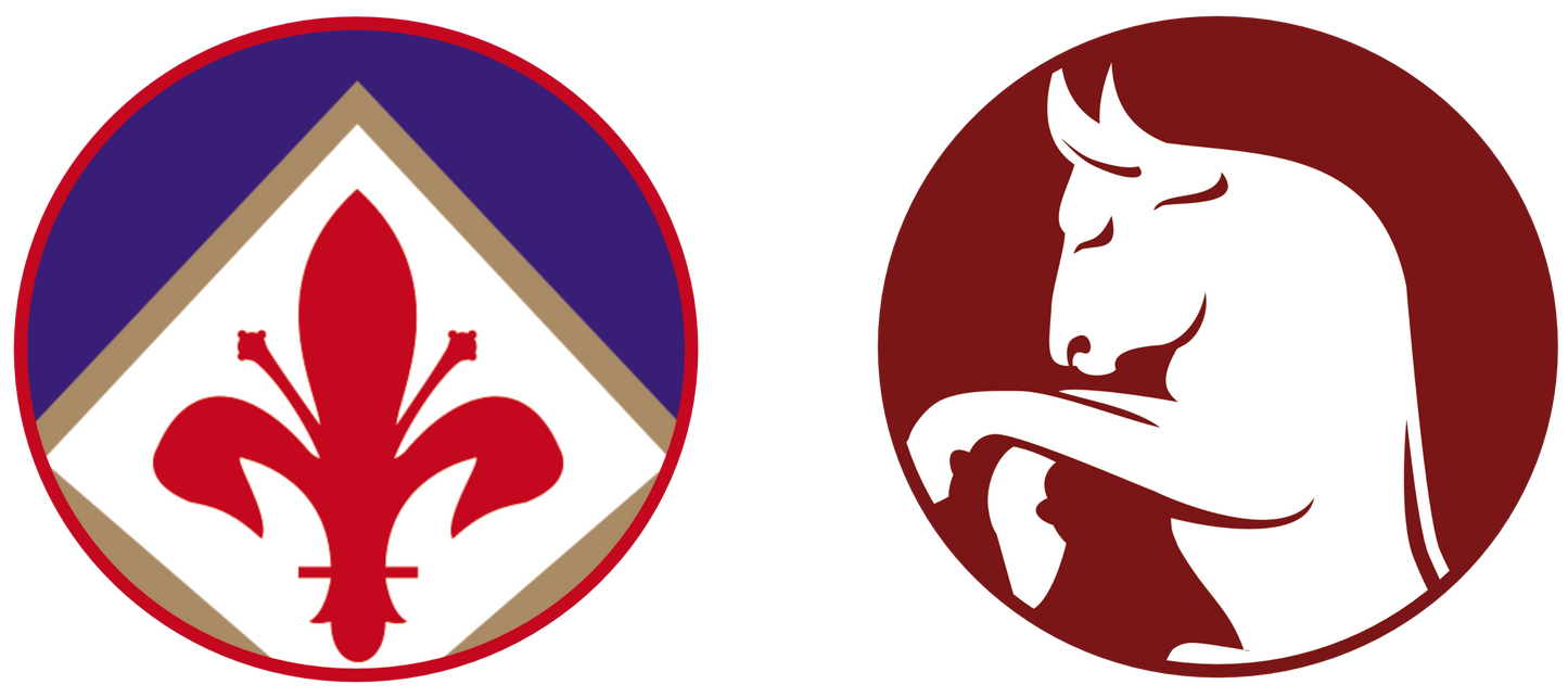 Fiorentina vs Torino FC Tickets