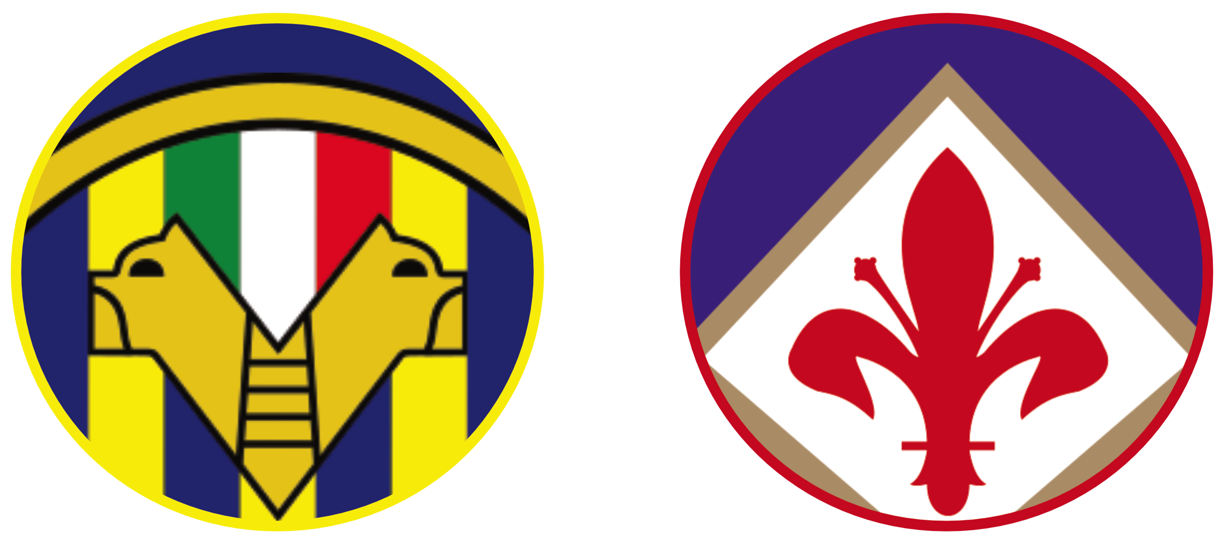 Hellas Verona vs Fiorentina Tickets