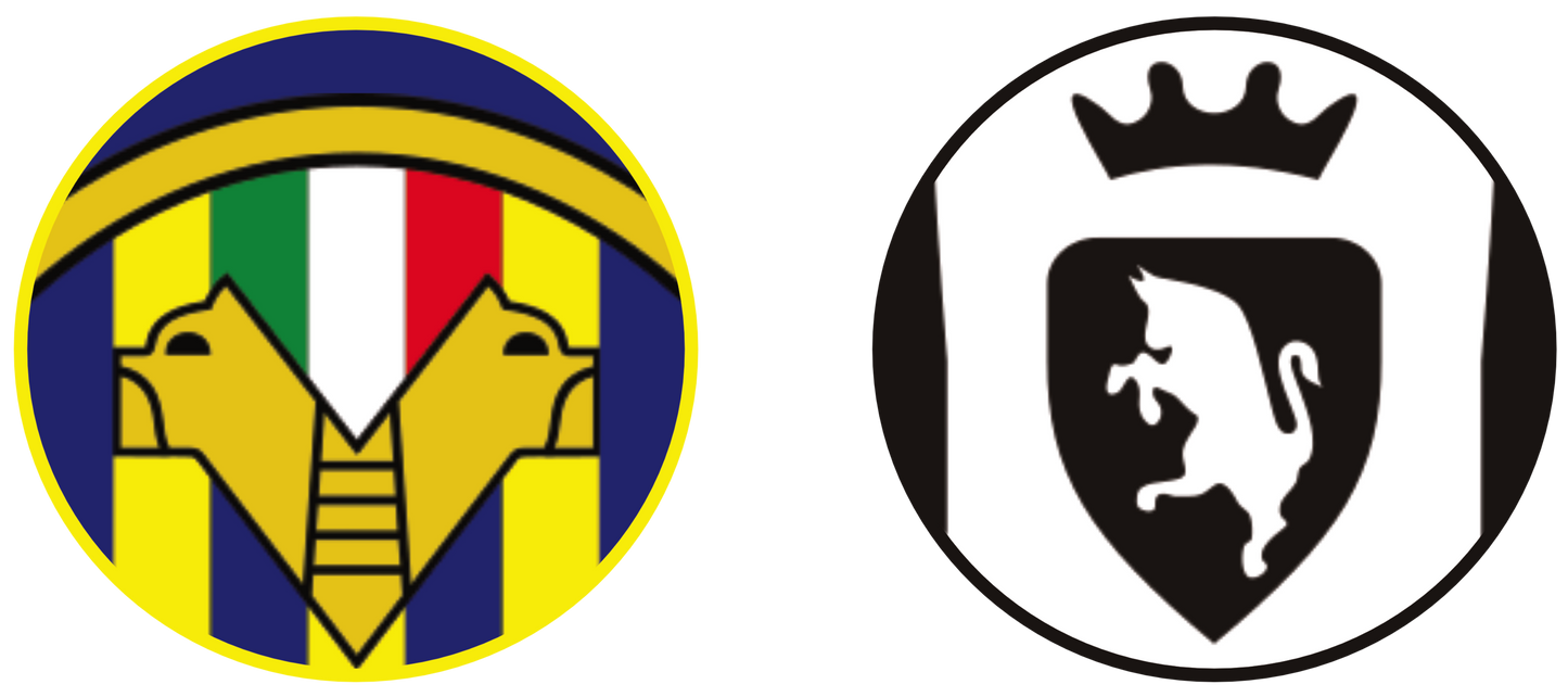Hellas Verona vs Juventus Tickets