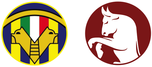 Hellas Verona vs Torino FC Tickets