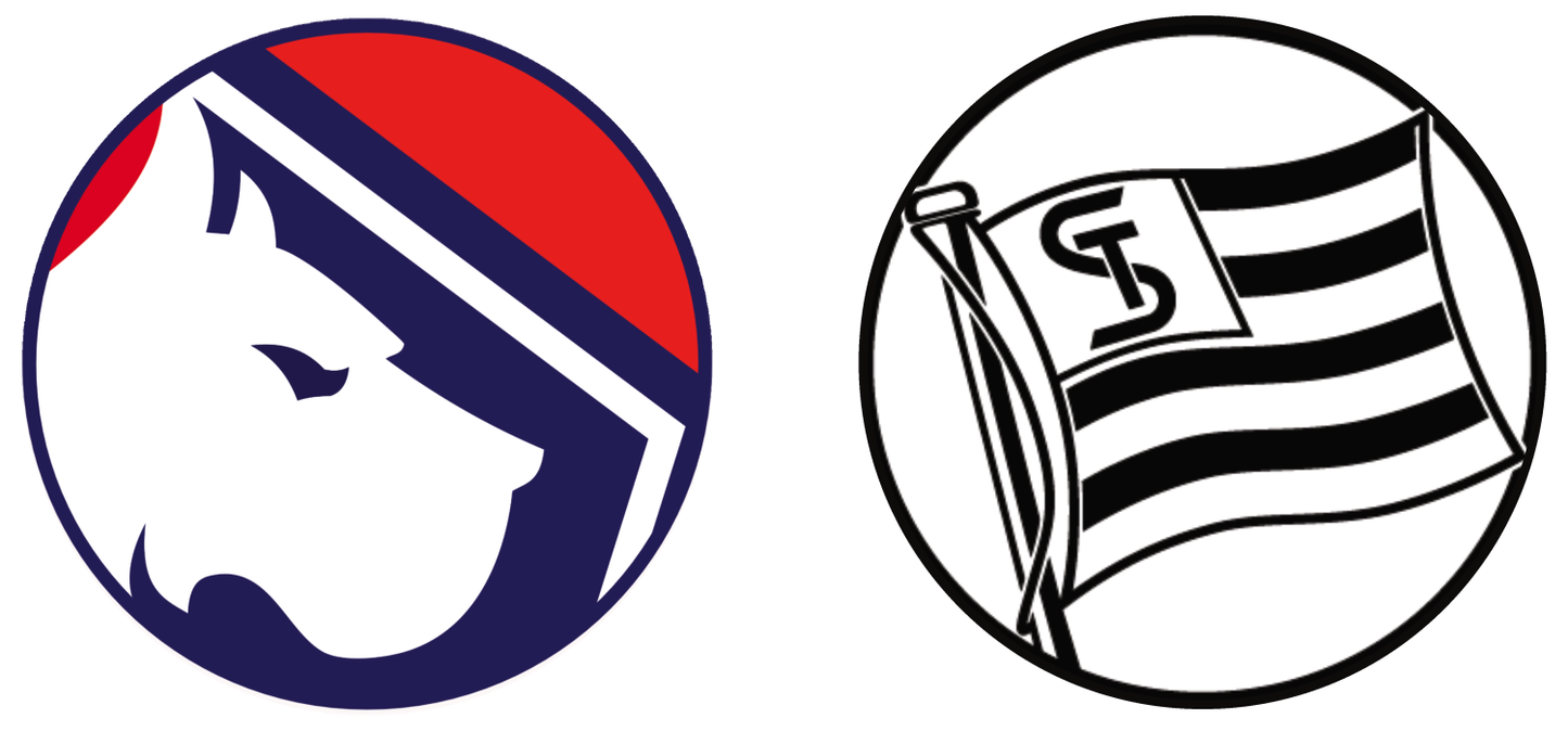 LOSC Lille vs Sturm Graz Tickets (Champions League)