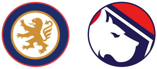 Olympique Lyonnais vs LOSC Lille Tickets