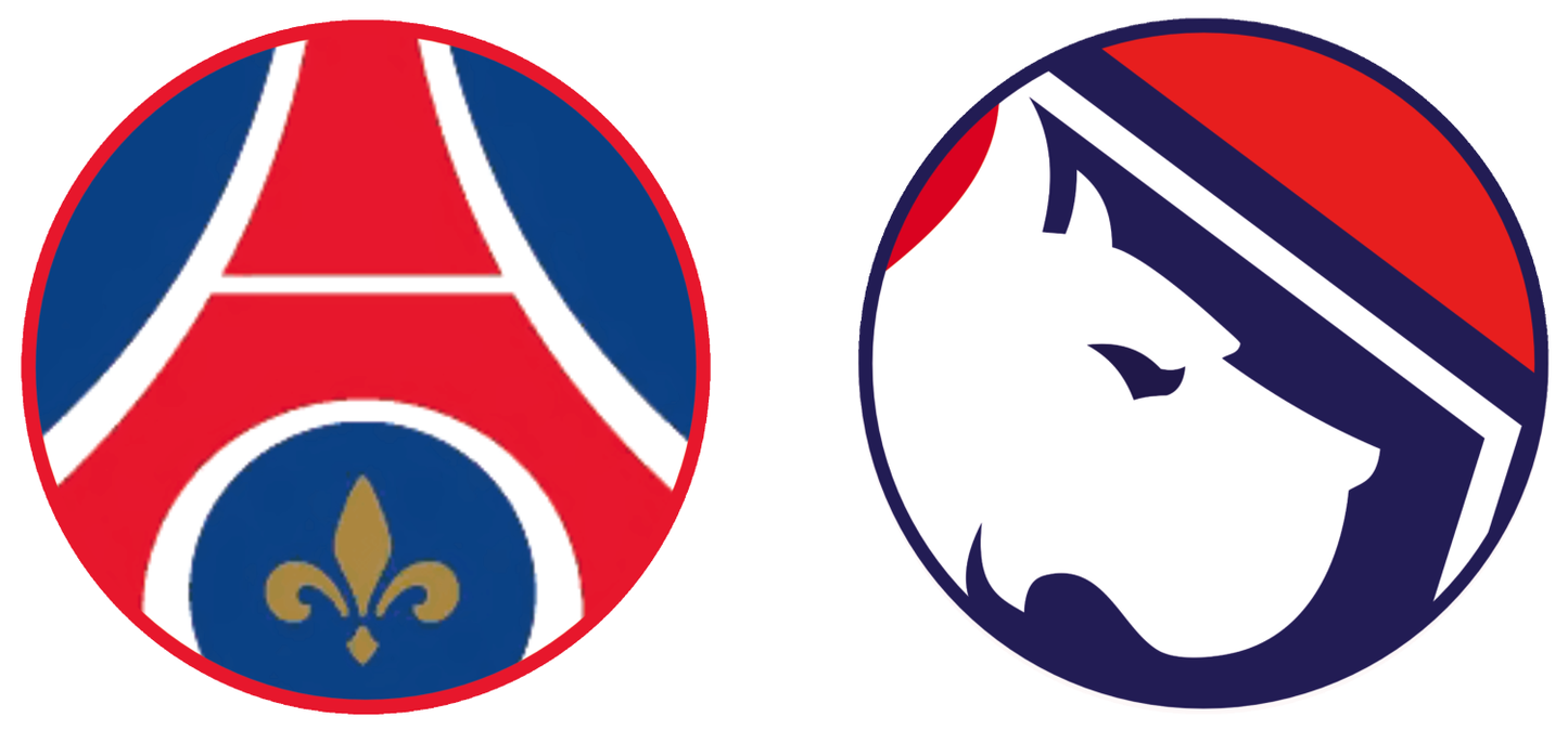 Paris Saint-Germain vs LOSC Lille Tickets