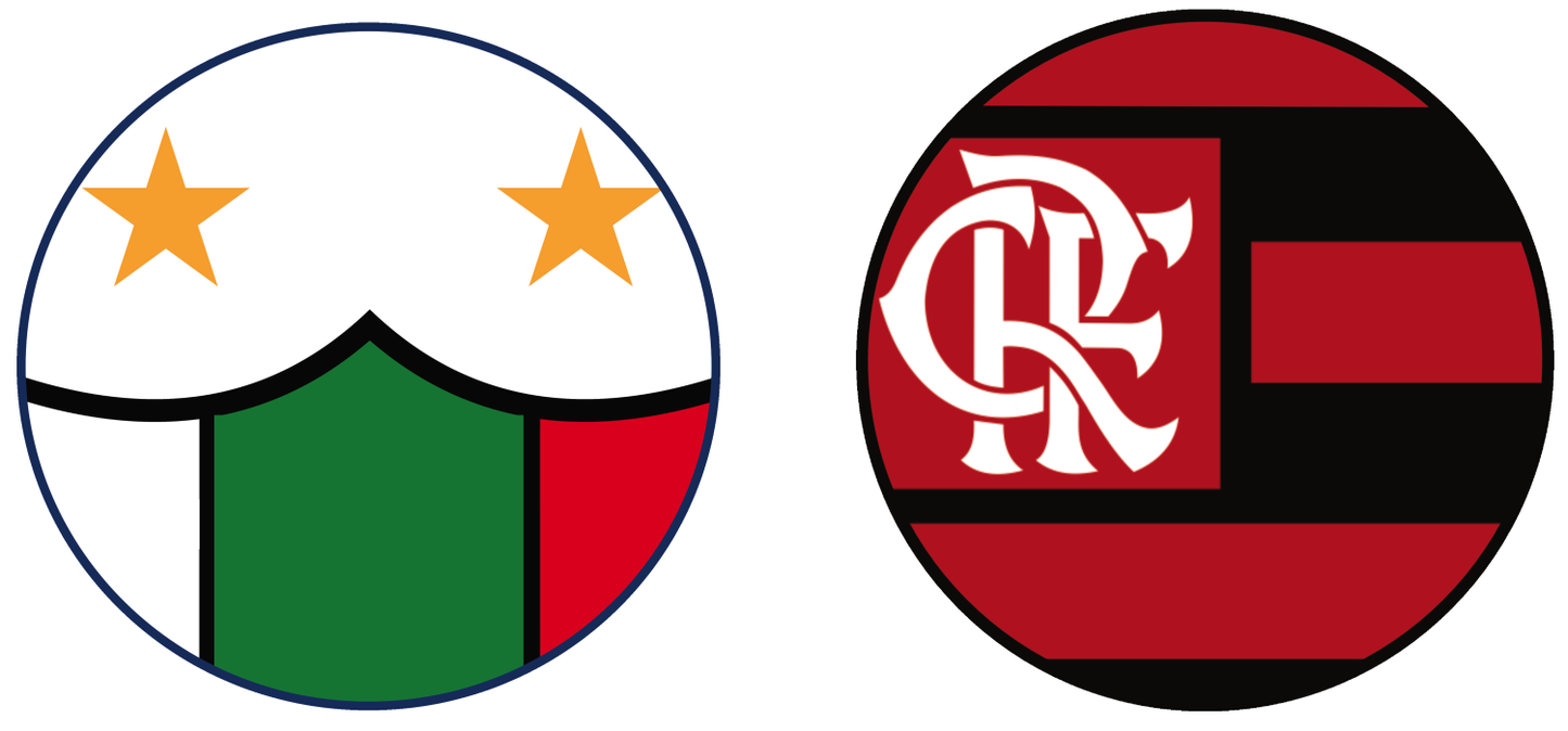 Palestinese vs Esperienze del Flamengo (Copa Libertadores)