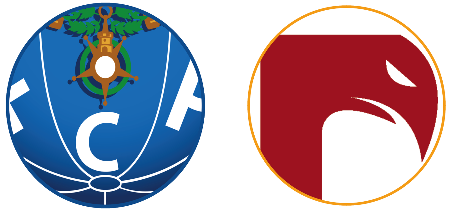 FC Porto vs AVS Futebol Tickets