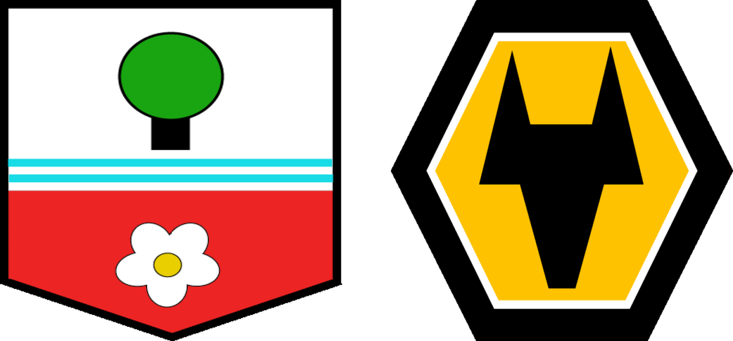 Southampton vs Wolves Tickets