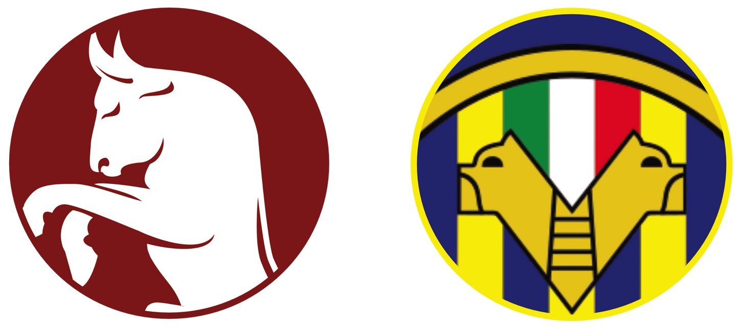 Torino FC vs Hellas Verona Tickets