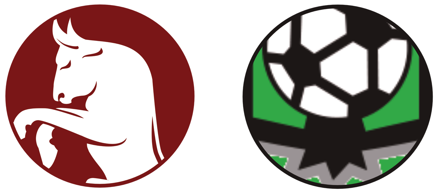 Torino FC vs US Sassuolo Tickets