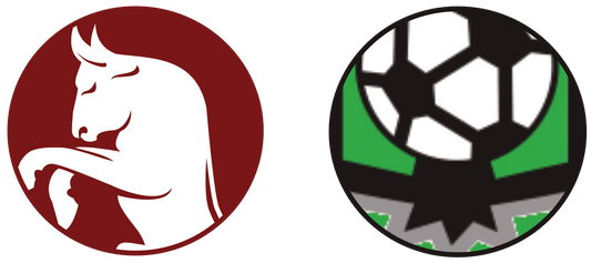 Torino FC vs US Sassuolo Tickets