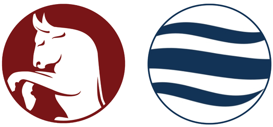 Torino FC vs Como Tickets