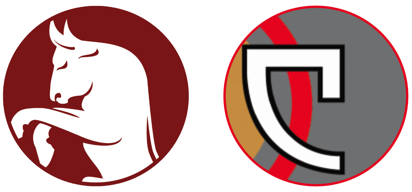 Torino FC vs Cremonese Tickets