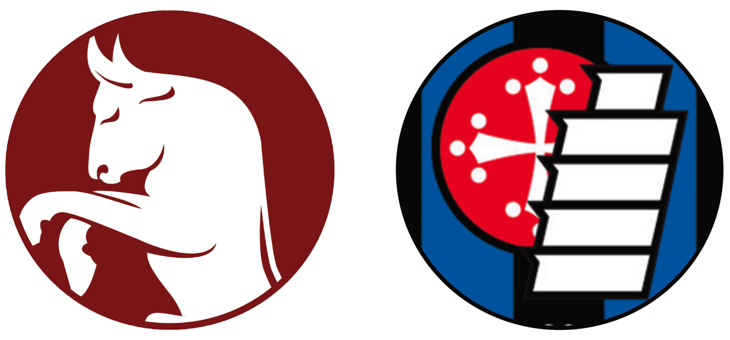 Torino FC vs Pisa SC Tickets