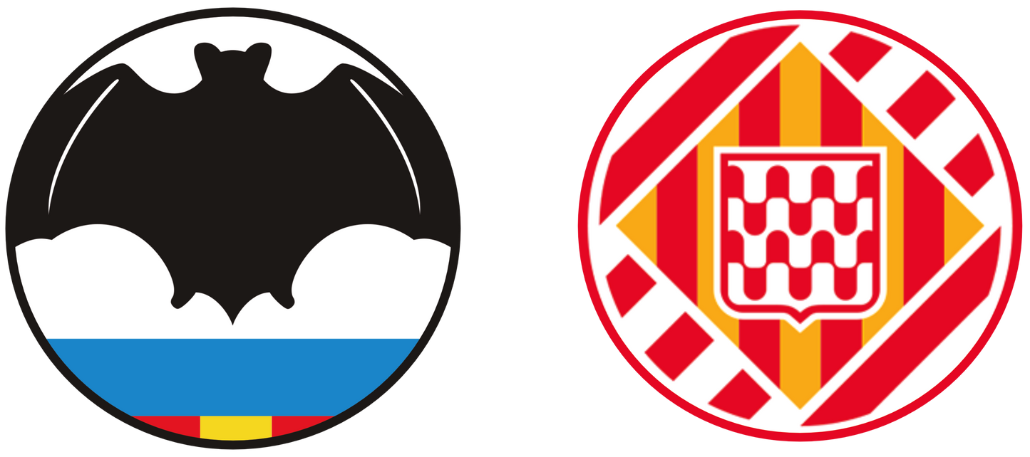 Valencia CF vs Girona FC Tickets