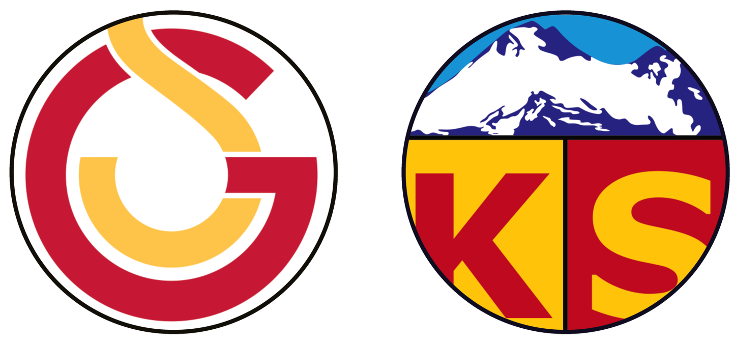 Galatasaray SK vs Kayserispor Experiences